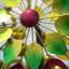 Rotator 1 pièce