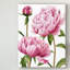 « winsome pivoines i », peinture sur toile tendue-1485551893
