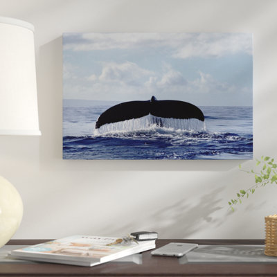 " Humpback Whale Tail "