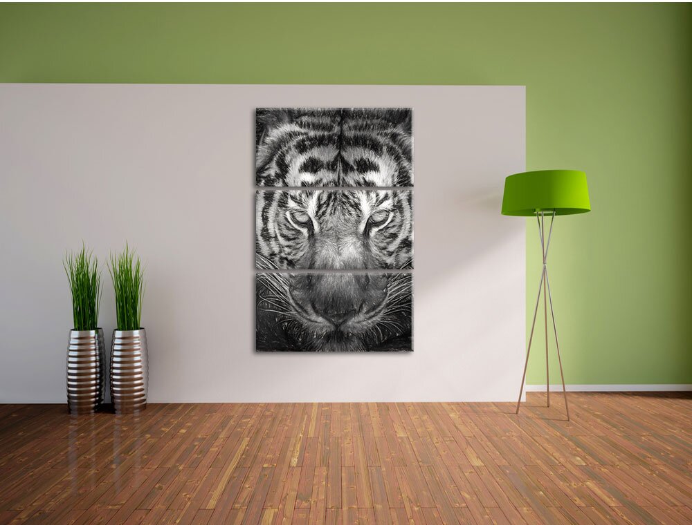 3-tlg. Leinwandbild-Set „Tiger mit hellen Augen“, Kunstdruck