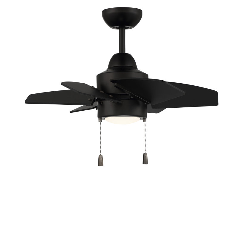 Flat Black 24'' Ceiling Fan with LED Light and 6 Plywood Blades