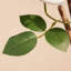 Rosier artificiel en pot Adcock Premium-54968084-54968080