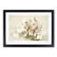 Magnolia Flowers Illustration Tab. 29 by Frederick Sander - Framed Print-55577432-55577433