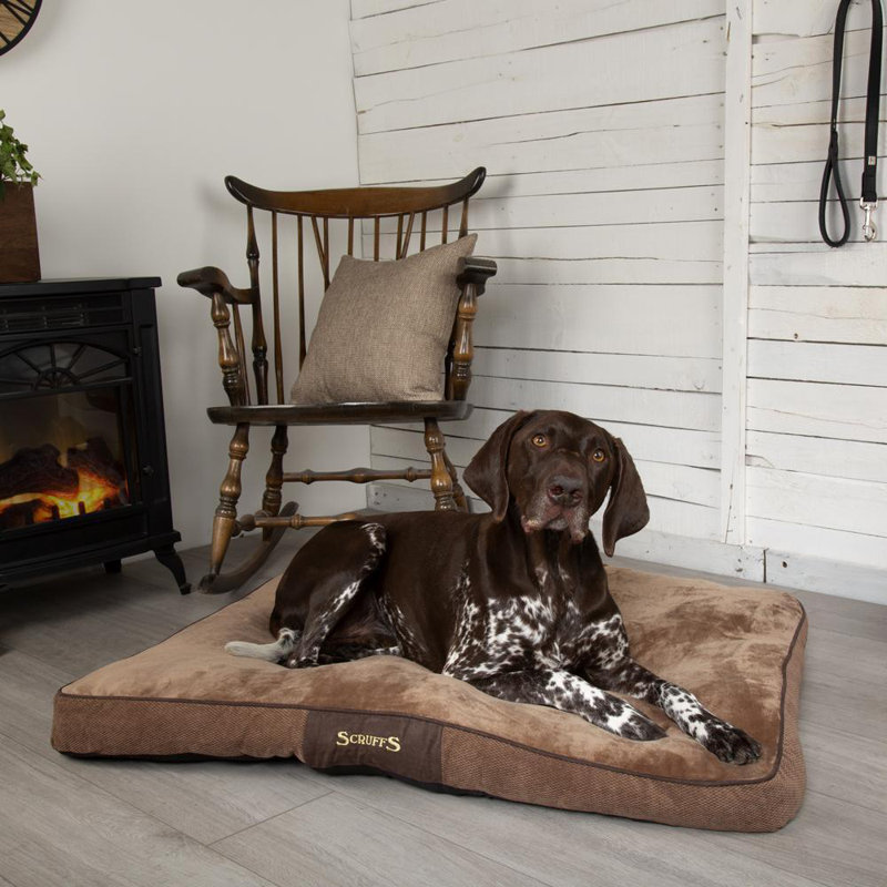 Chester Polyester Pet Bed, Chocolate/Tan