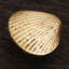 CK Series Knob-12829605