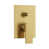 Brushed Gold selected