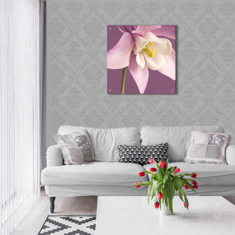 «Pink Aquiligia» par Tom Quartermaine, art mural en verre acrylique, 36 po x 36 po, H 24 po x l 24 po x P 0,2 po