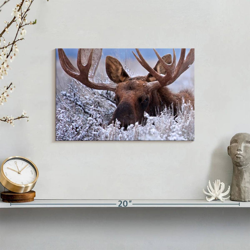 Brampt Hiding Moose, 8" H x 12" W