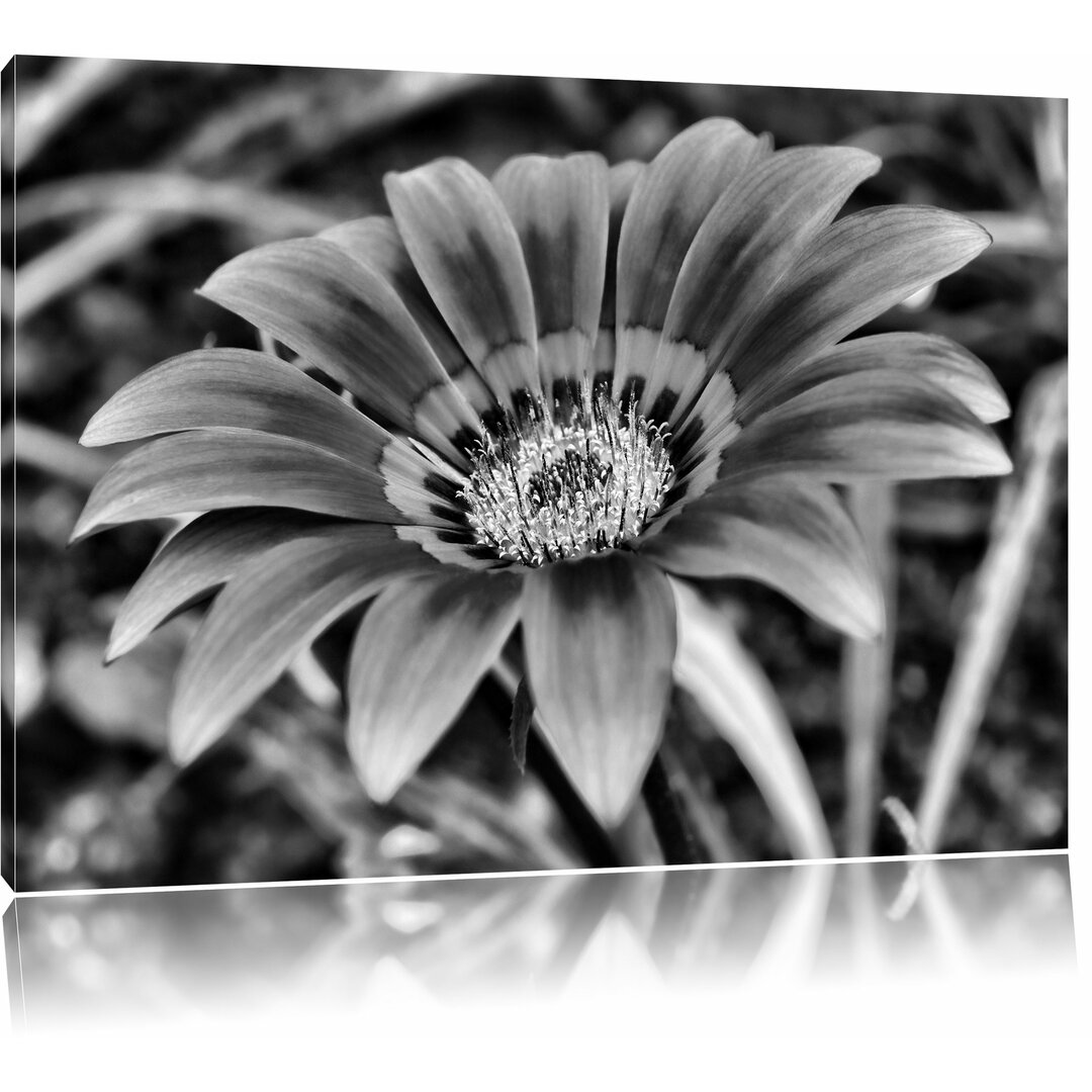 Leinwandbild Große orangefarbene Blüte in Monochrom