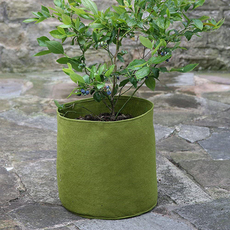 Arionah Pot Planter, 24cm H x 24cm W x 24cm D