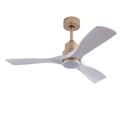 Iarlaith 48'' Ceiling Fan with LED Lights