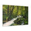 No Frame Print on Canvas