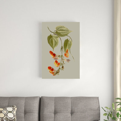 Botanical Array VI