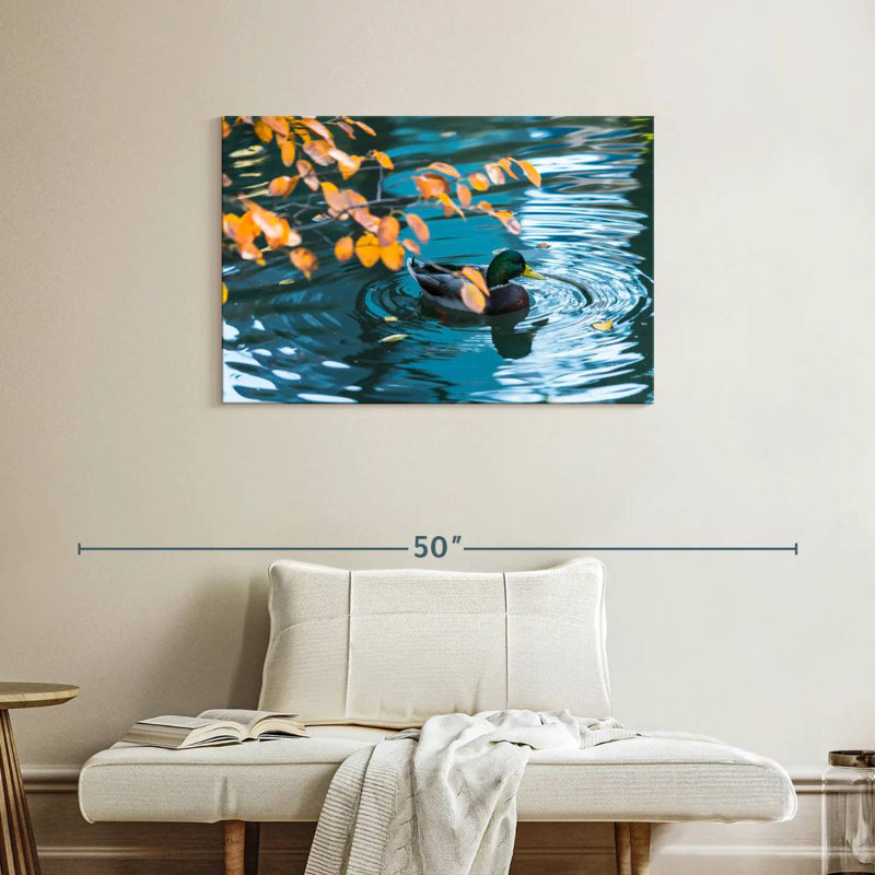 Brampt Mallard Duck On Pond, 24" H x 36" W