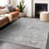 Machine Washable Indoor/Outdoor Chayden ACN1089 Gray Rug