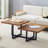 47*23.5*18. Perfectly Integrating Modern And Scandinavian Styles-Dark Walnut Double-Deck Coffee Table
