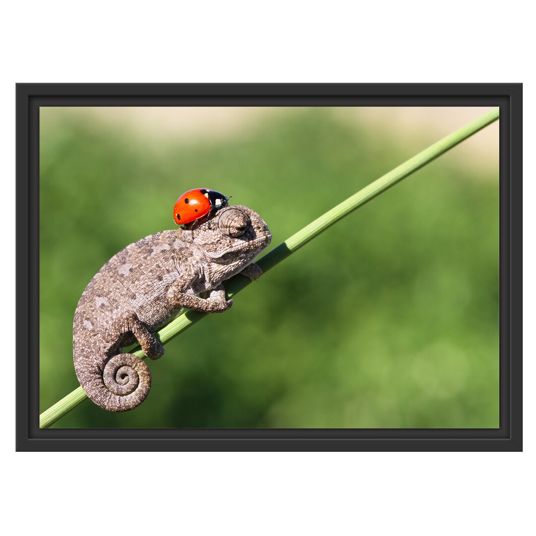 Gerahmtes Wandbild Süßer Gecko mit einem Marienkäfer