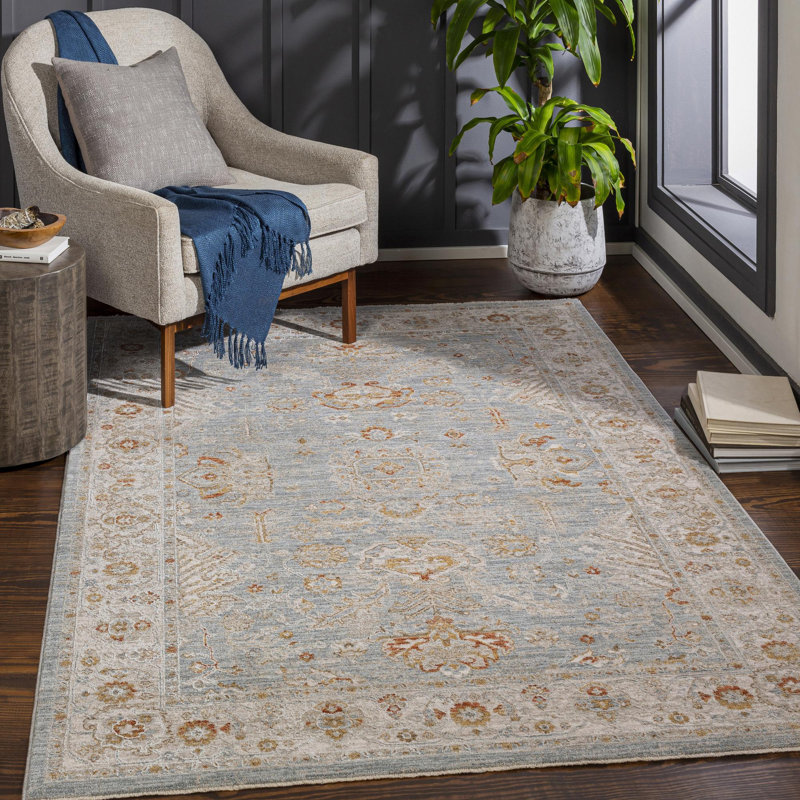 Tapis oriental bleu ciel / gris / rouge brique Finnlagh, Rectangle 9 pi x 12 pi 2 po