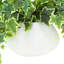 Jenner Faux Ivy Plant in Glass Vase