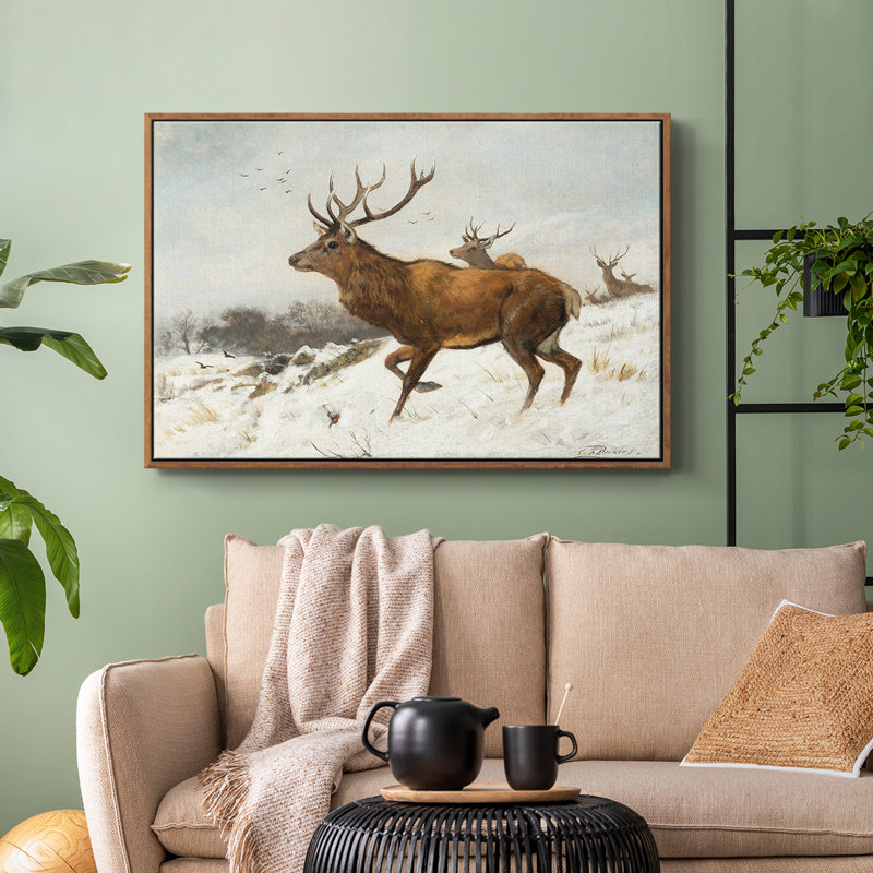 Animal rétro - V, Walnut Floater Framed Canvas, H 27 po x l 41 po x P 2 po