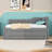 Upholstered Daybed with Trundle and 1 Drawer-182853727-182853720