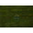 Handmade Green Gabbeh Area Rug 5x8