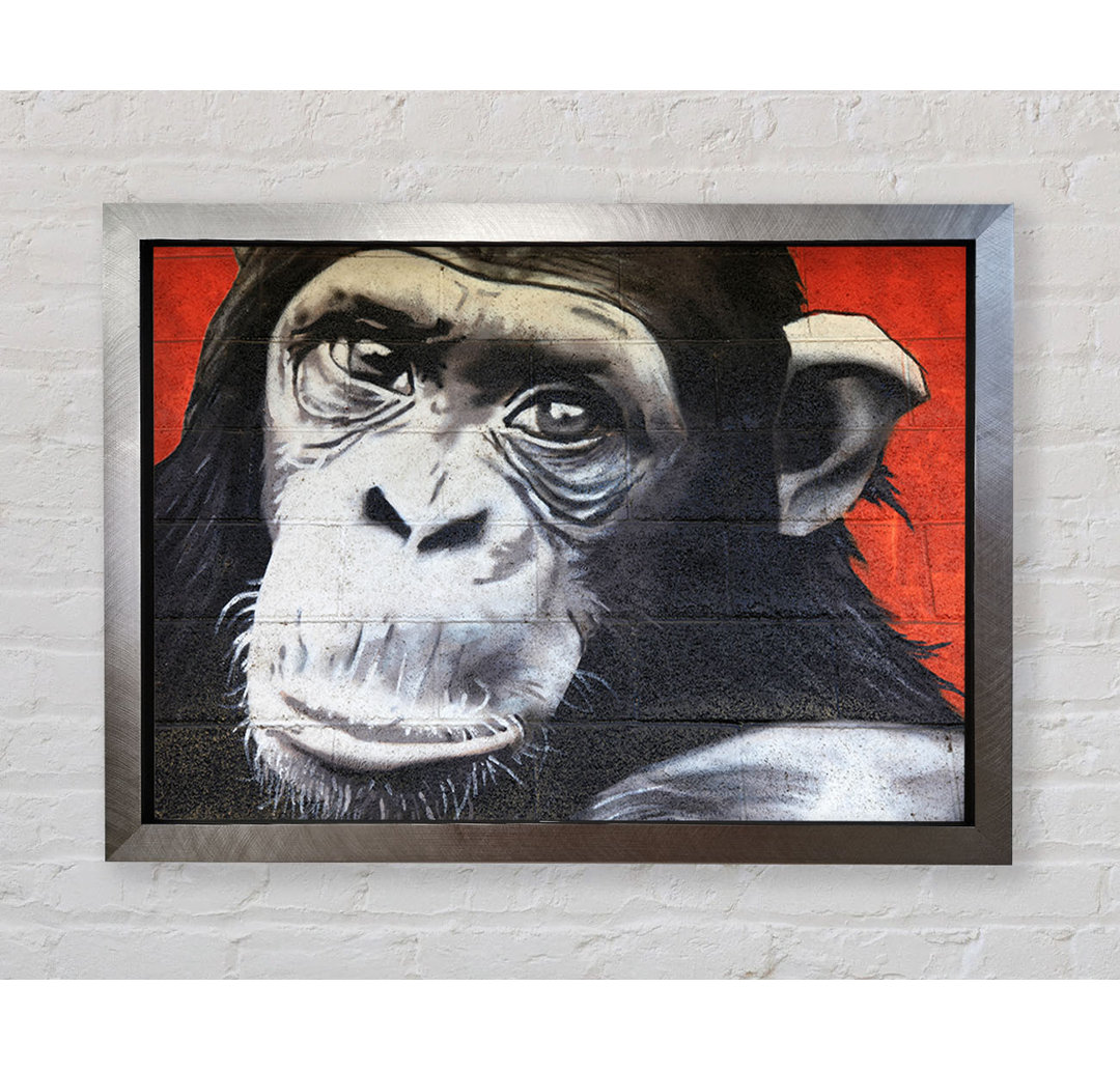 Gerahmtes Leinwandbild The Chimp