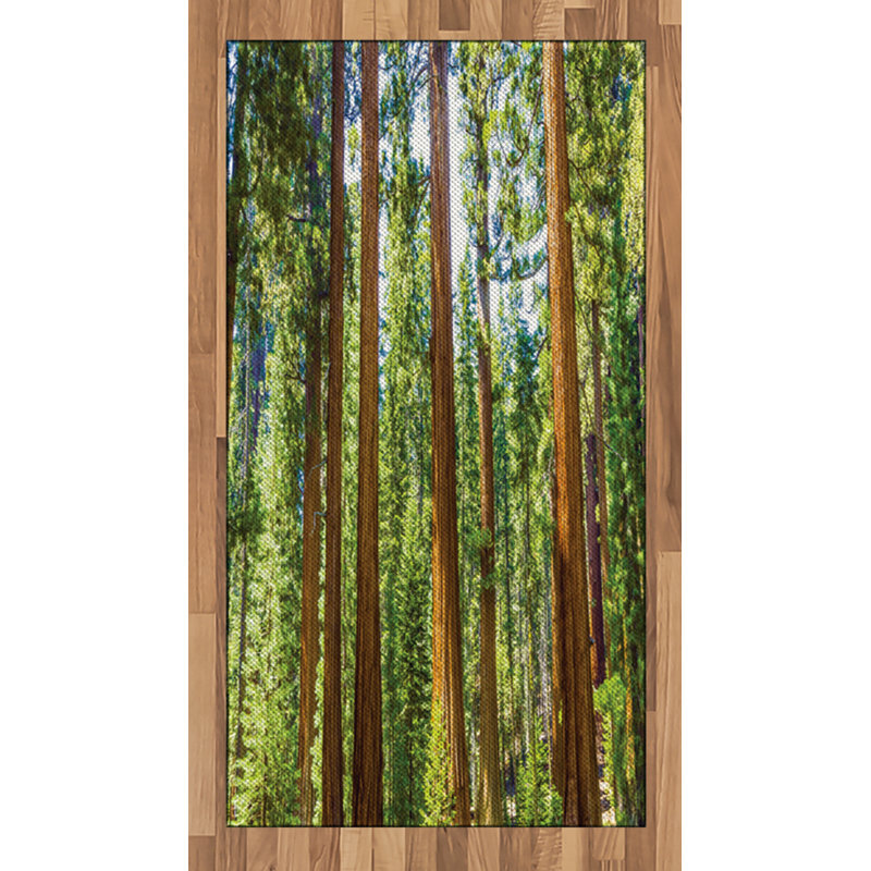 National Parks Nature High Density Long Fiber Poly Threads Decorative Area Rug Carpet, Rectangle 2'7" x 5'