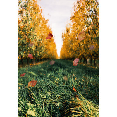 Autumn Field - Wrapped Canvas Print