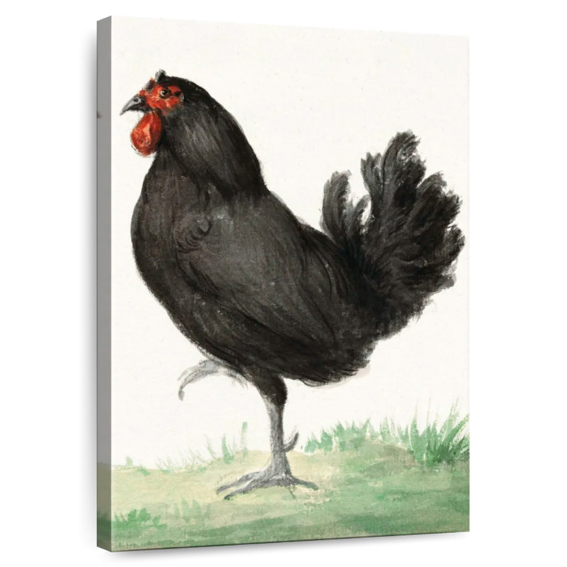 Brampt Standing Black Chicken, 39" H x 26" W