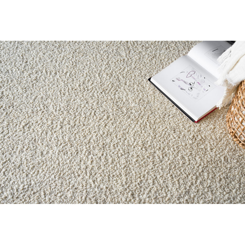 Ferretti Wool Area Rug in Ivory/Silver, Rectangle 8' x 10'