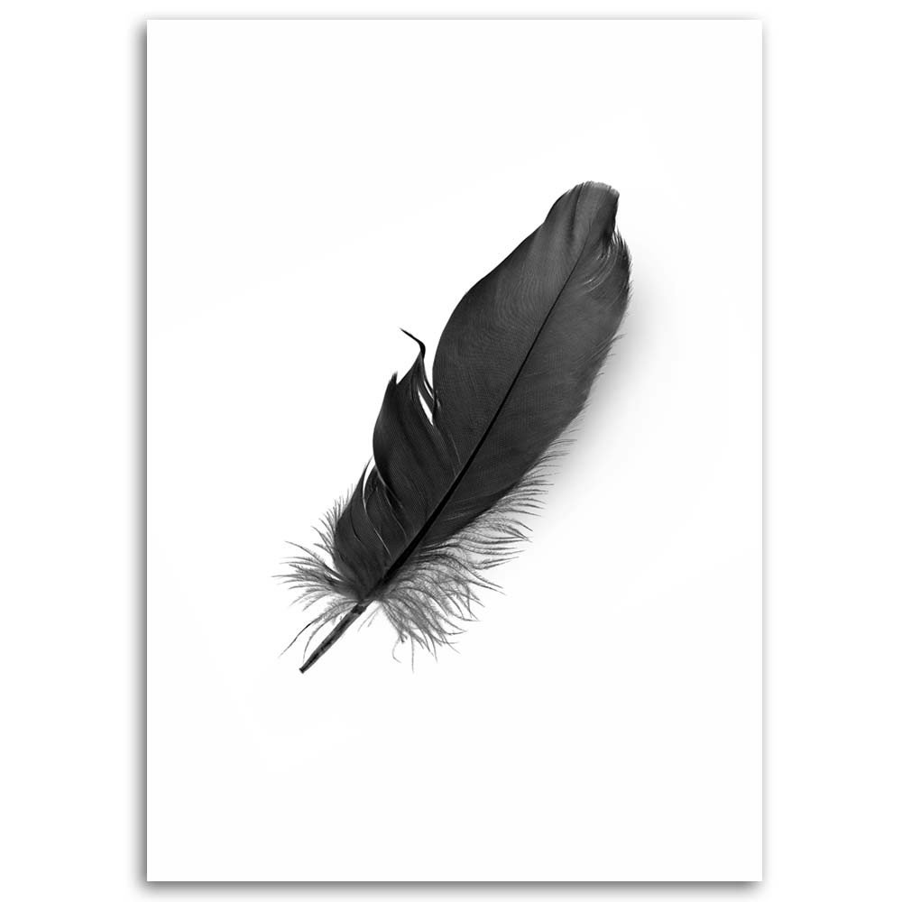 Leinwandbild Black feather