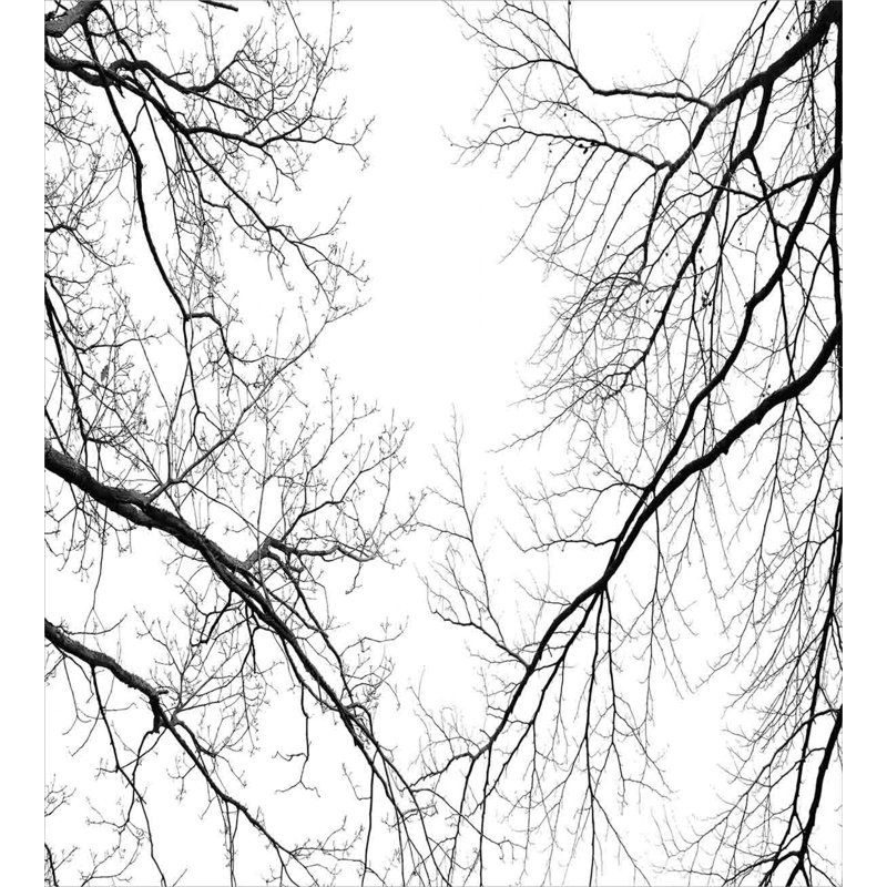 Black and White Forest Branches Queen Duvet Cover Set