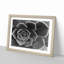Succulent Plant - Picture Frame Painting Print-55613515-55613519