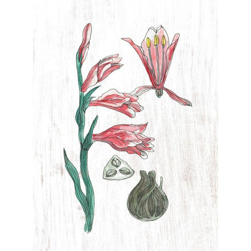 Plantes, œuvre d'art