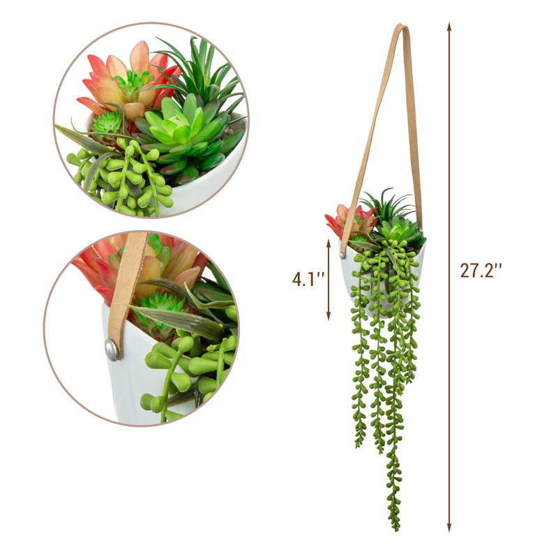 Arrangement de plantes grasses artificielles murales