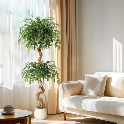 Plant
