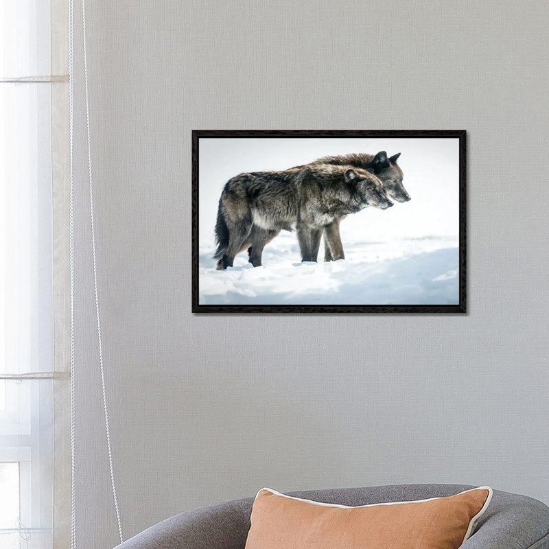 Side By Side by David Gardiner - Print on Canvas, Black Framed, 66.04 cm H x 45.72 cm W
