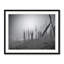 Landscape & Nature Print by Mark Paulda-70852443-132872445