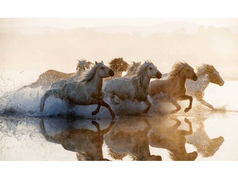 Wrapped Canvas Print, 50.8cm H x 76.2cm W