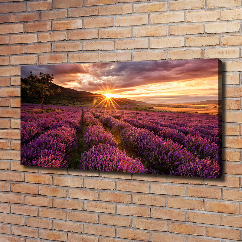 Lavender Field - Wrapped Canvas Print