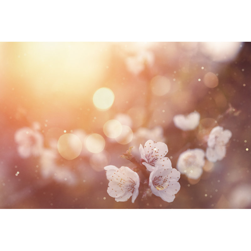 Spring Blossom by Mammuth - Wrapped Canvas Print, 20cm H x 30cm W x 3.8cm D