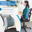 Lumbar Back Support