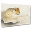 Tiger by Ohara Koson - Wrapped Canvas-55361431
