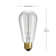 Lyle 60 Watt ST64 E26/Medium (Standard) Dimmable Incandescent Bulb