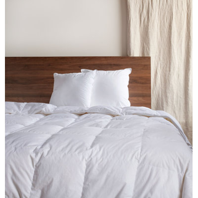 Down Alternative Throw Pillow Insert - 2 Pack
