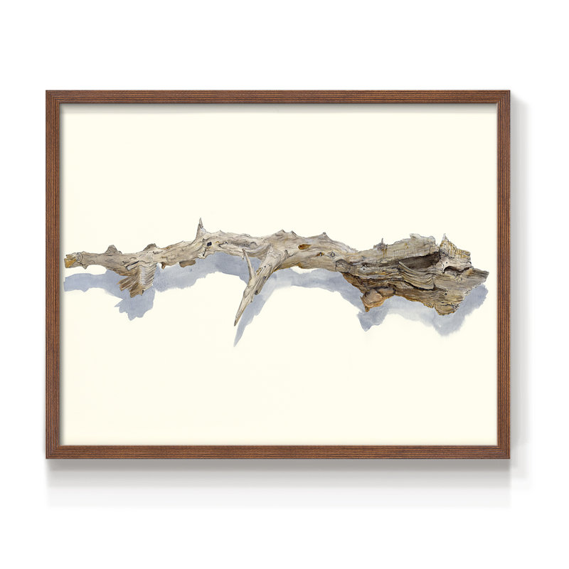 «Driftwood Study I», reproduction encadrée, H 16 po x l 20 po, Noyer