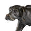 Animal Figurine-31222133