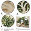 «Tree American Basswood Collage 2», art mural arbre-925938135-925938136