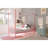 Canopy Metal Bed